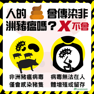 人糞不會傳播非洲豬瘟