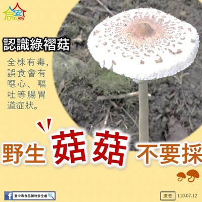 看見路邊野菇 應遵守「不採不食」的原則